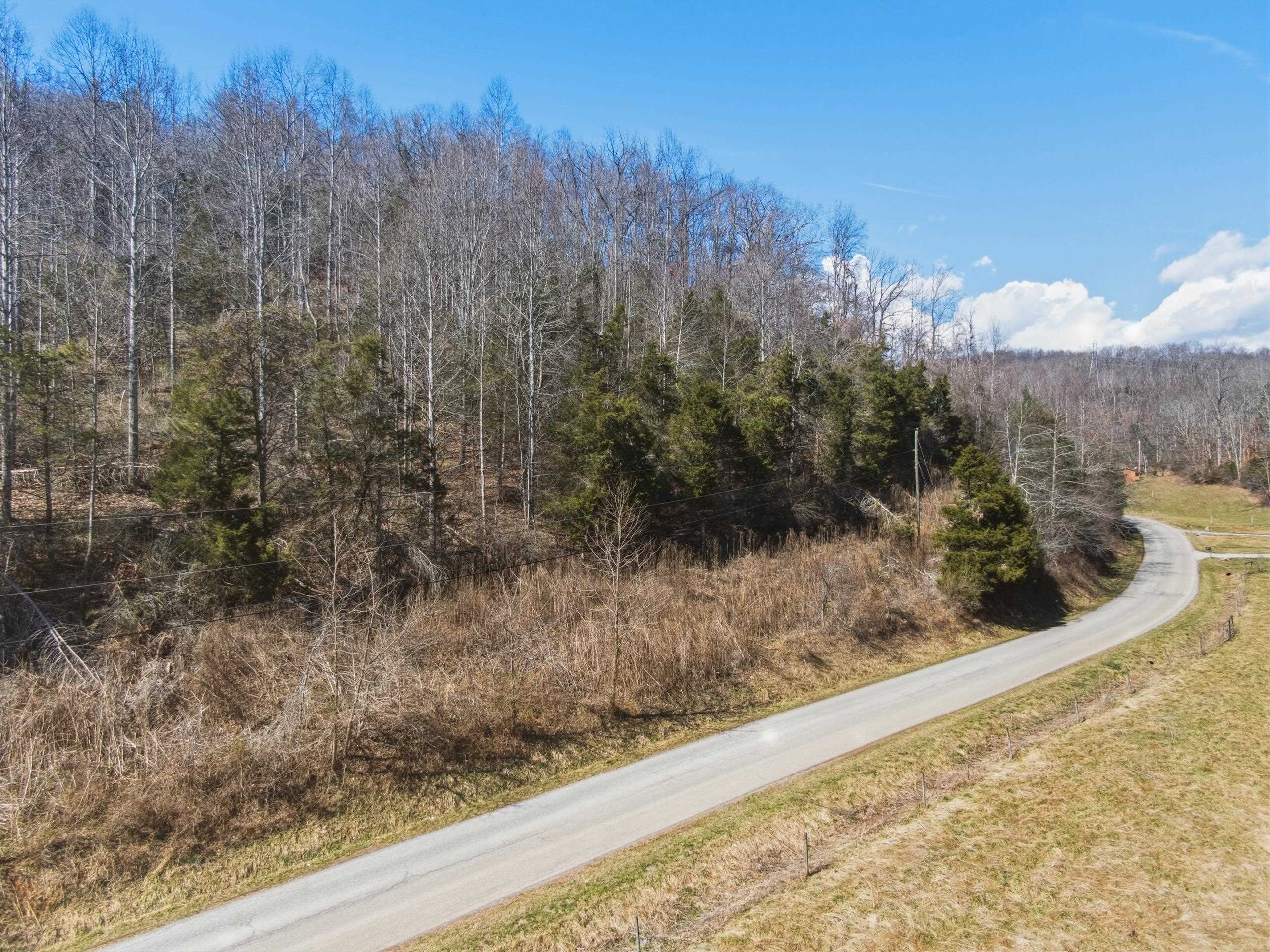 Tbd Georges Run Road Shawsville VA 24162