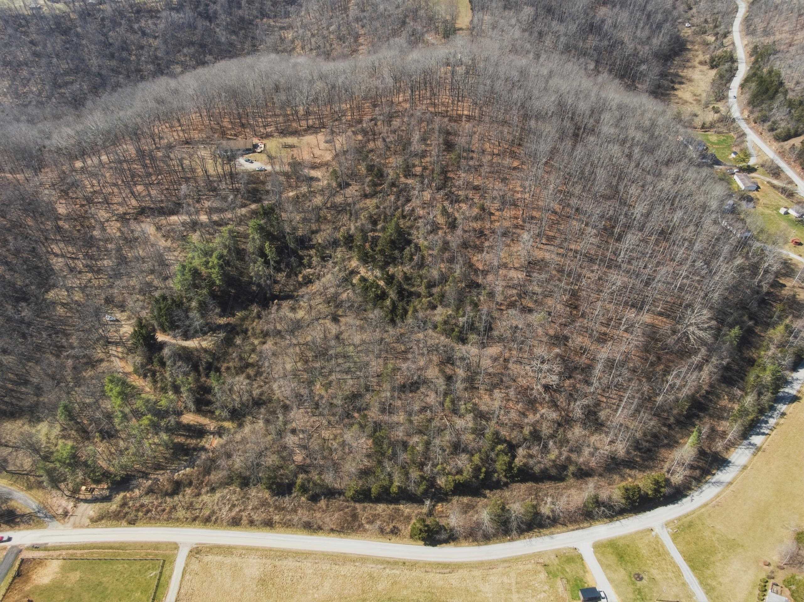 Tbd Georges Run Road Shawsville VA 24162