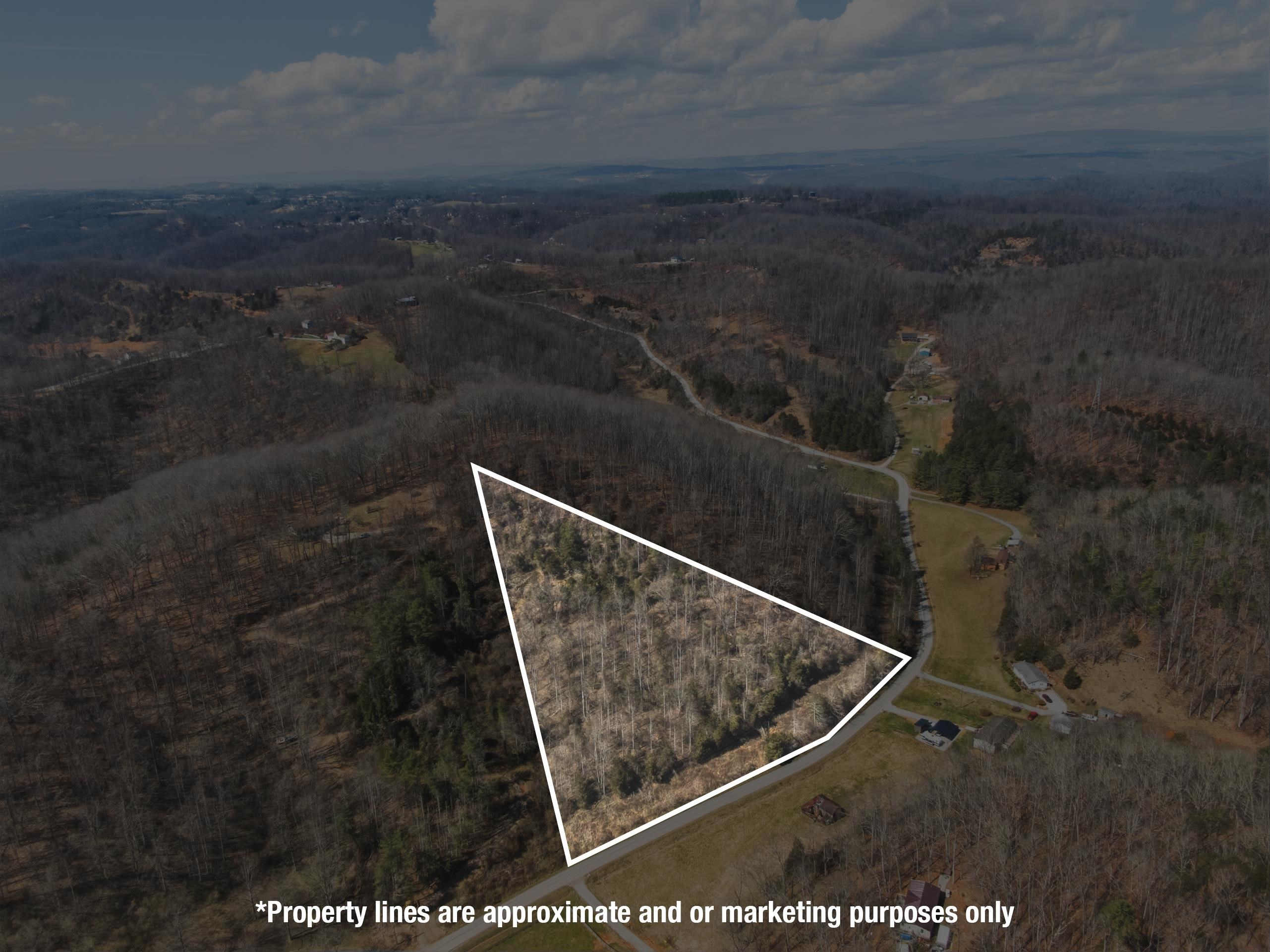 Tbd Georges Run Road Shawsville VA 24162