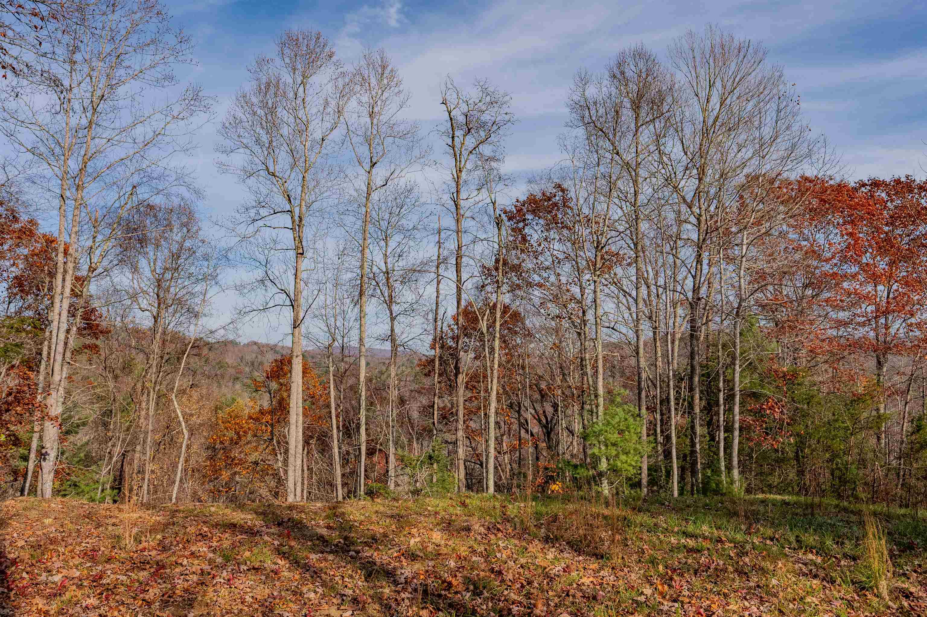 0 Tumbling Waters Road NE Copper Hill VA 24079