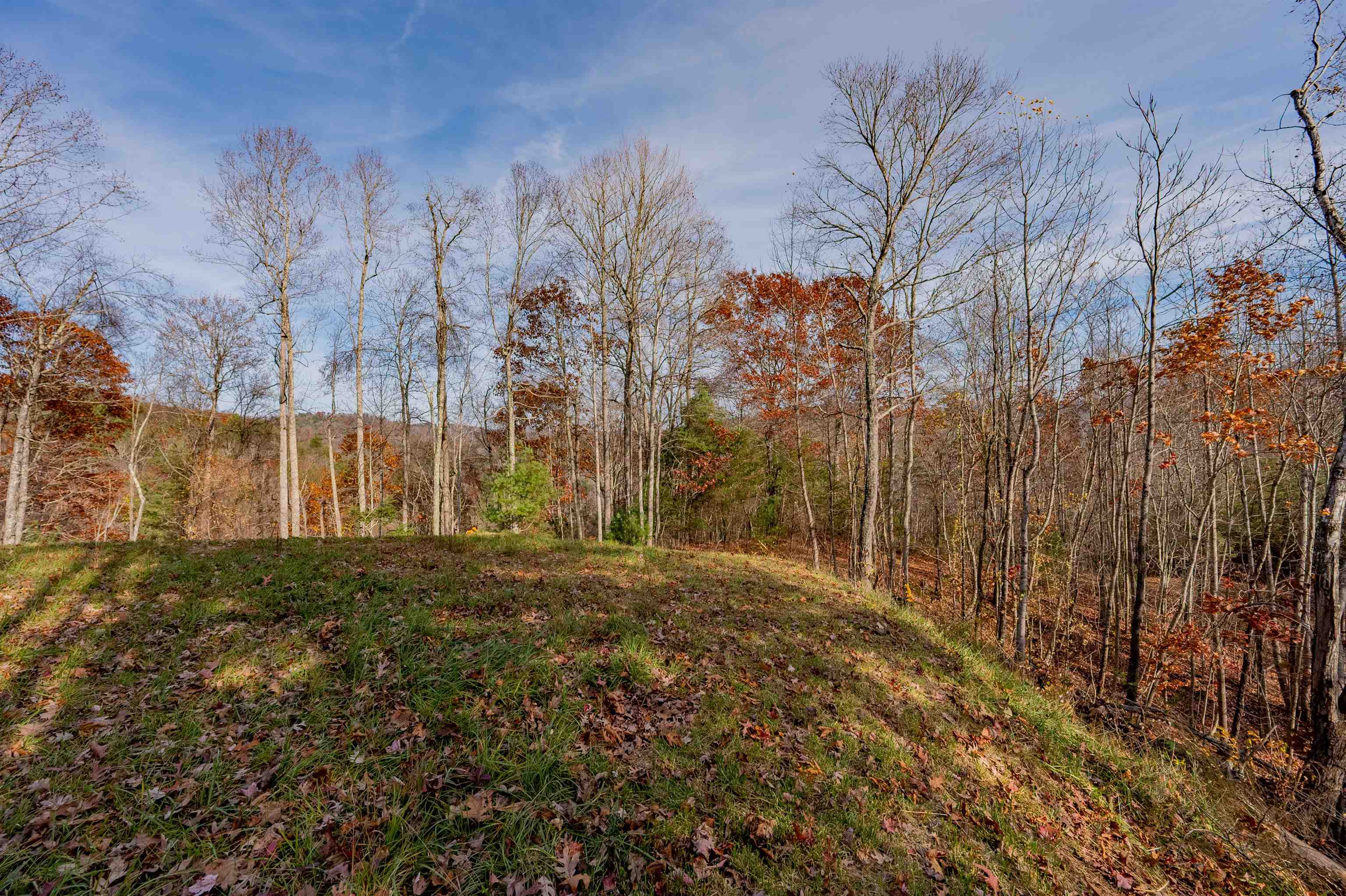 0 Tumbling Waters Road NE Copper Hill VA 24079