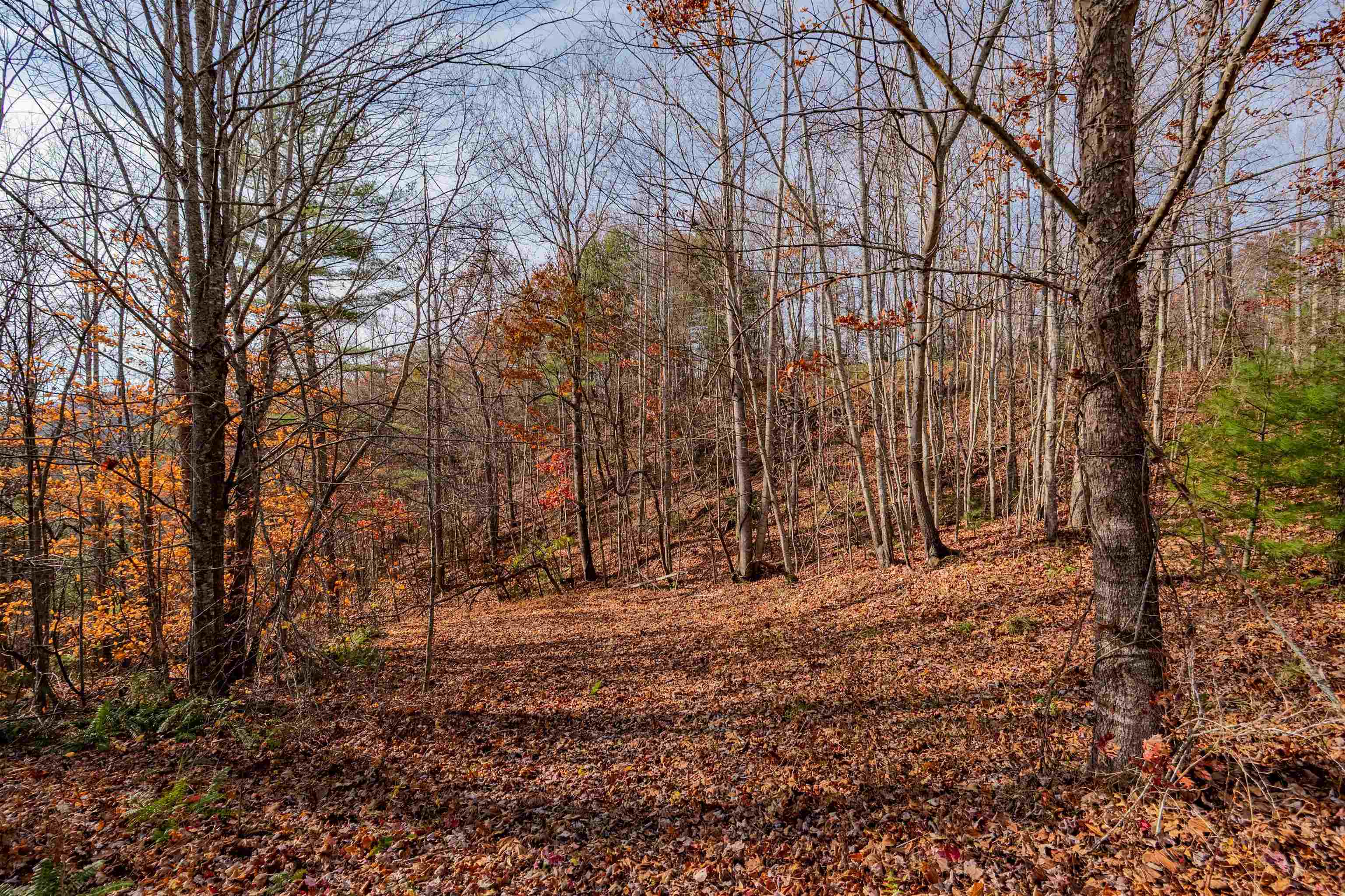 0 Tumbling Waters Road NE Copper Hill VA 24079