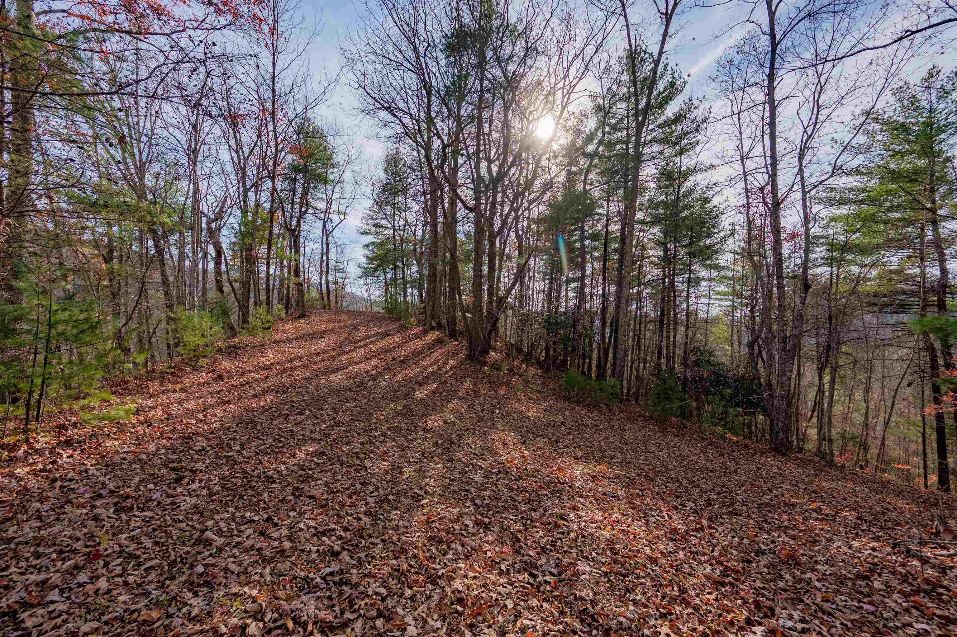 0 Tumbling Waters Road NE Copper Hill VA 24079