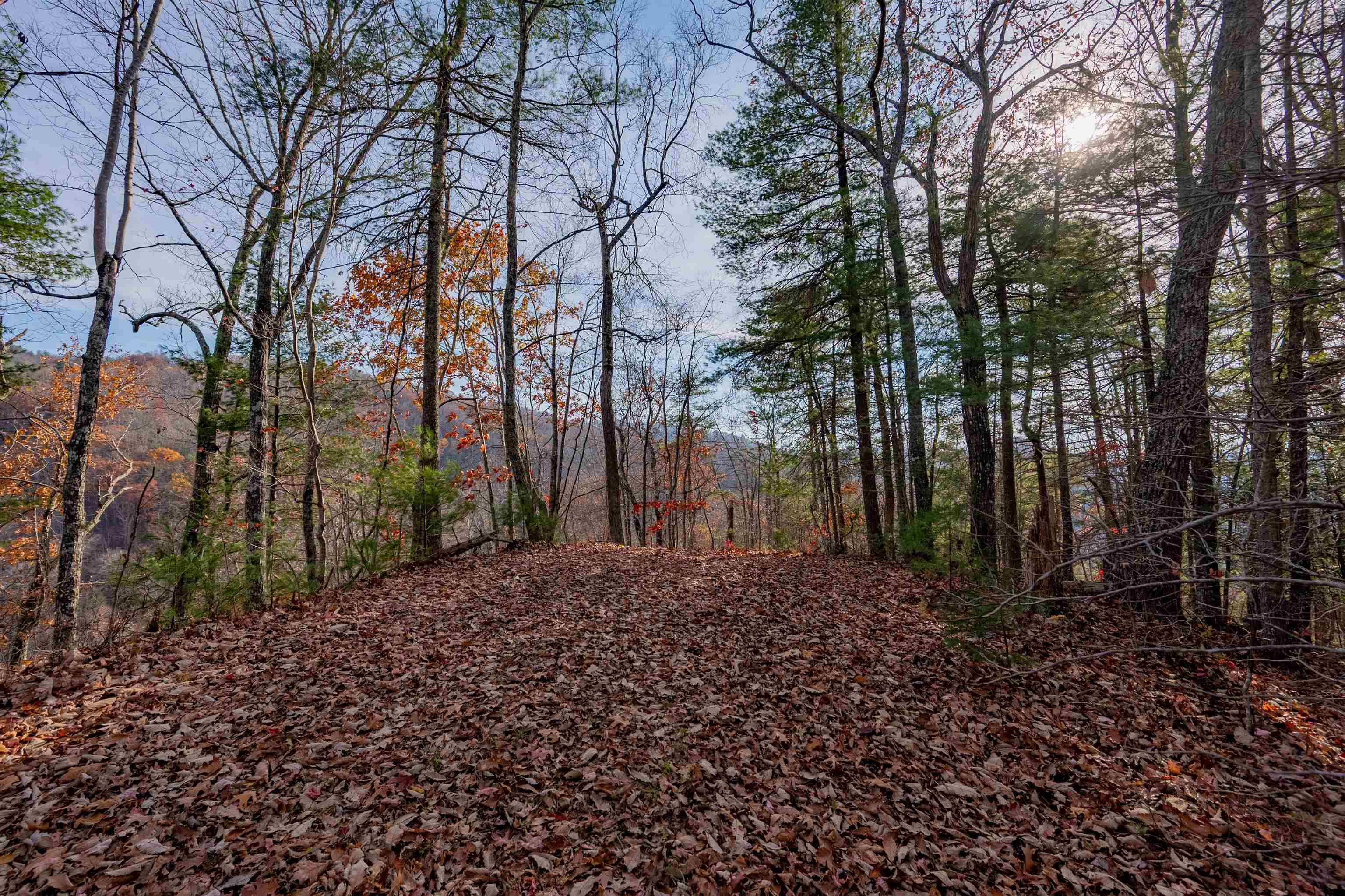0 Tumbling Waters Road NE Copper Hill VA 24079