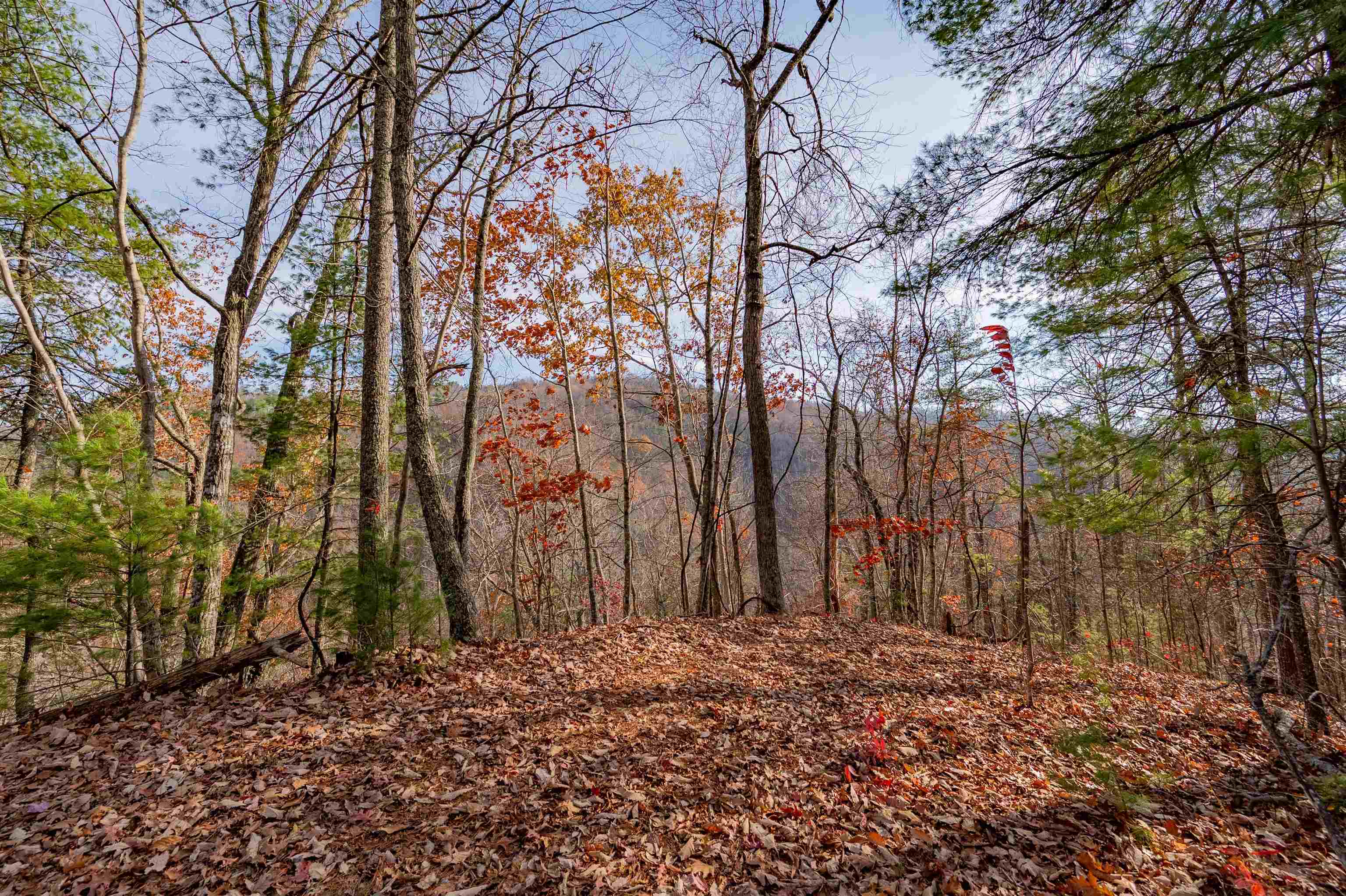 0 Tumbling Waters Road NE Copper Hill VA 24079