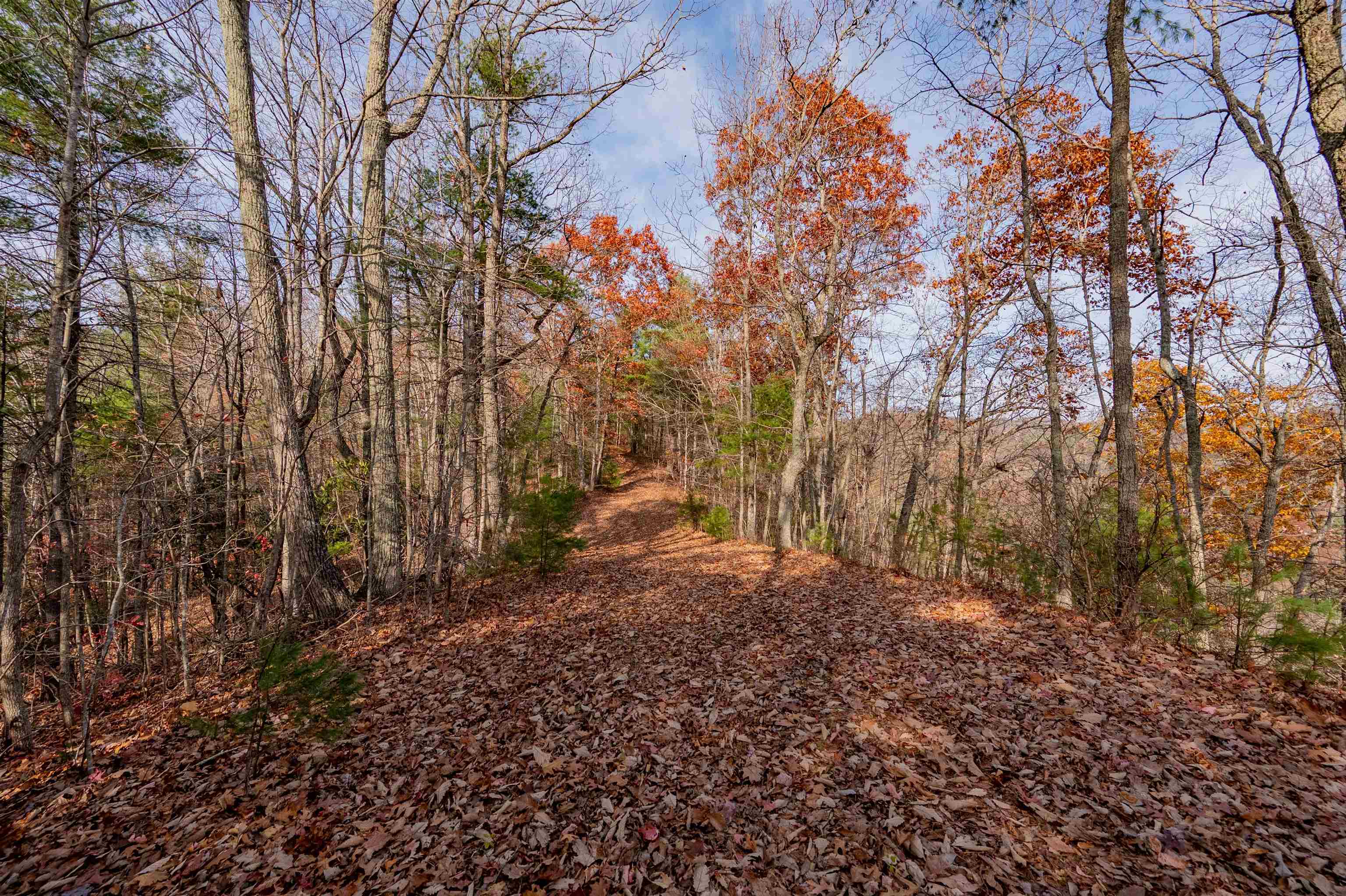 0 Tumbling Waters Road NE Copper Hill VA 24079