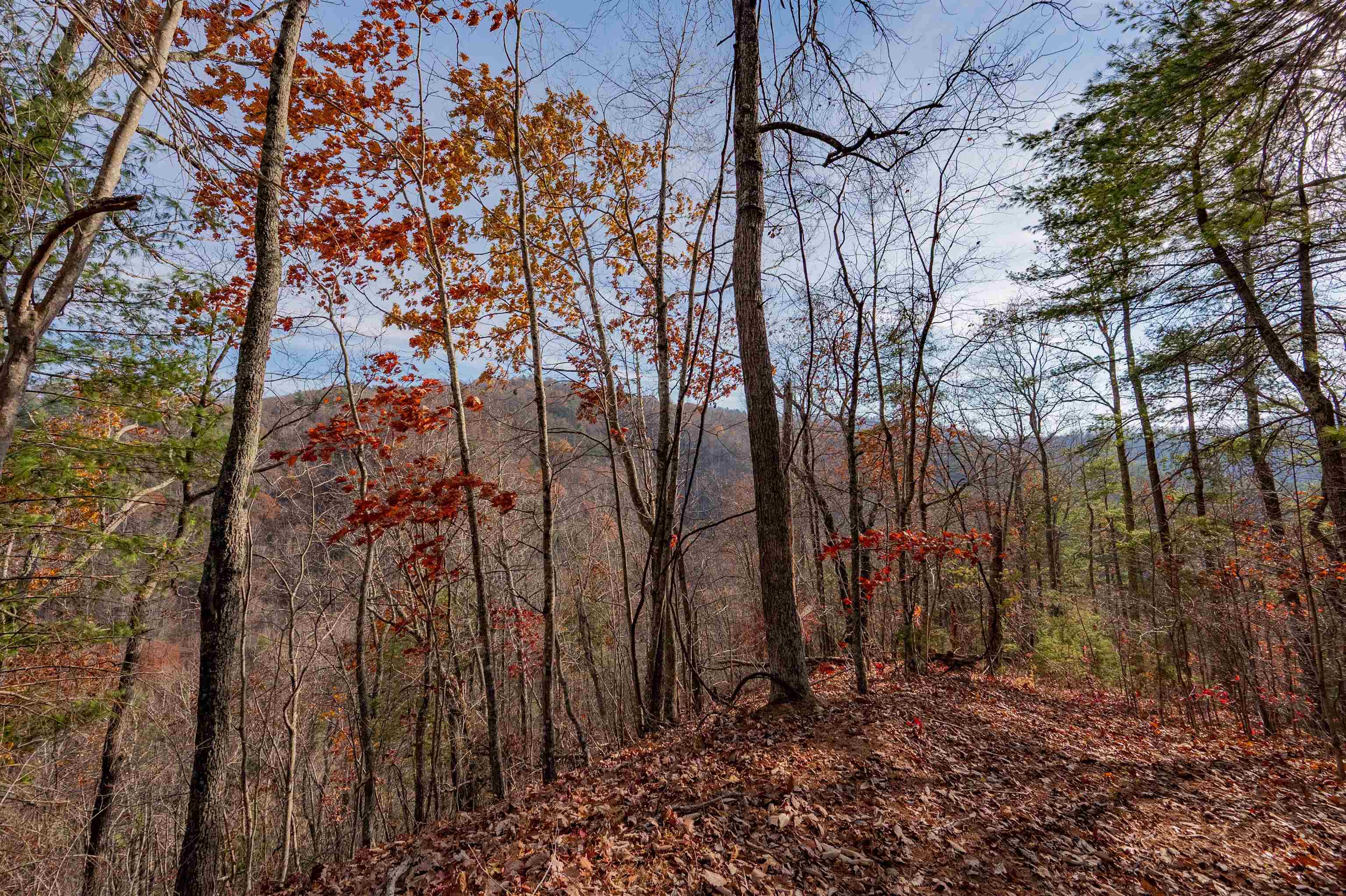 0 Tumbling Waters Road NE Copper Hill VA 24079