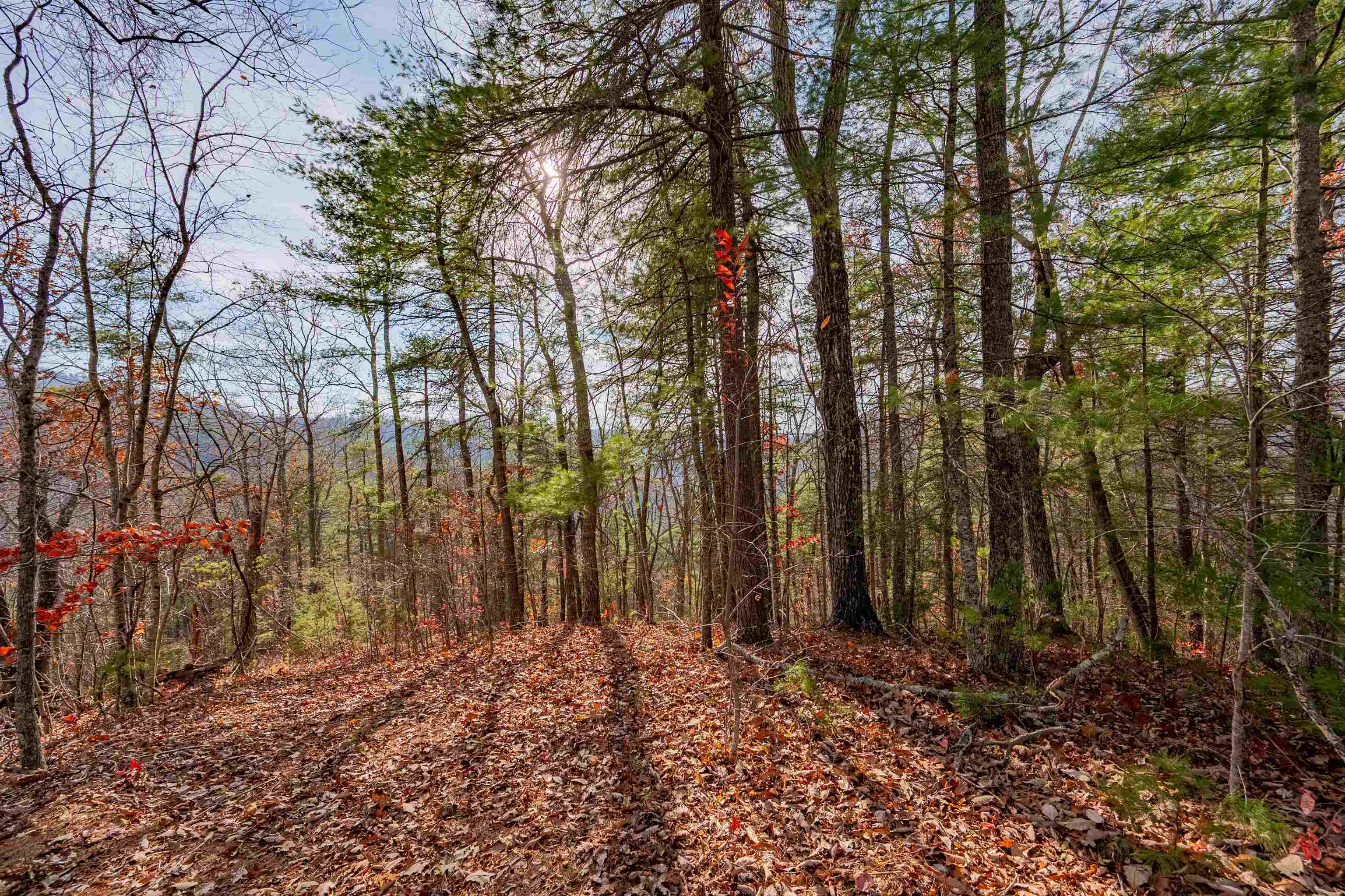 0 Tumbling Waters Road NE Copper Hill VA 24079