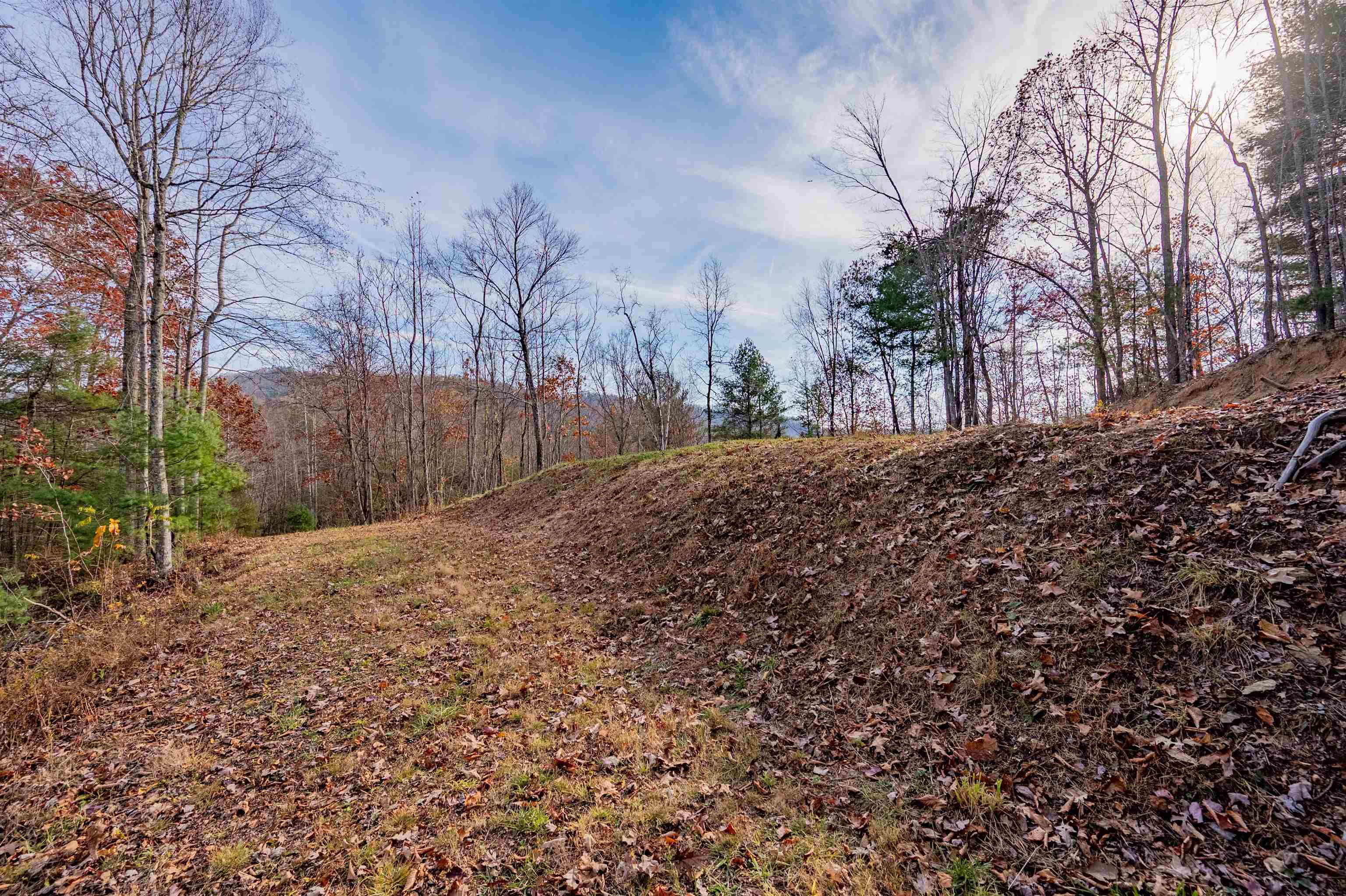 0 Tumbling Waters Road NE Copper Hill VA 24079