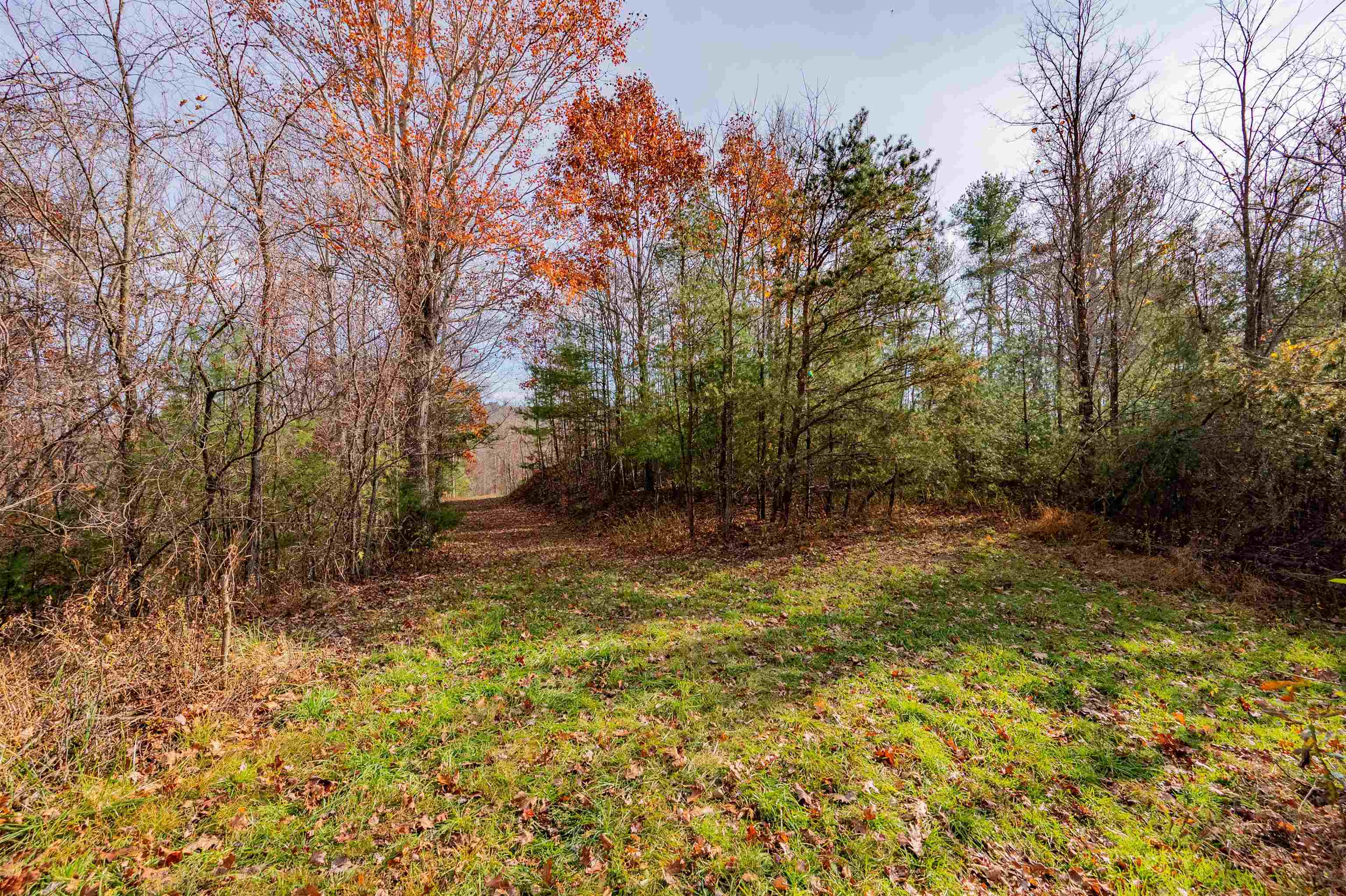 0 Tumbling Waters Road NE Copper Hill VA 24079