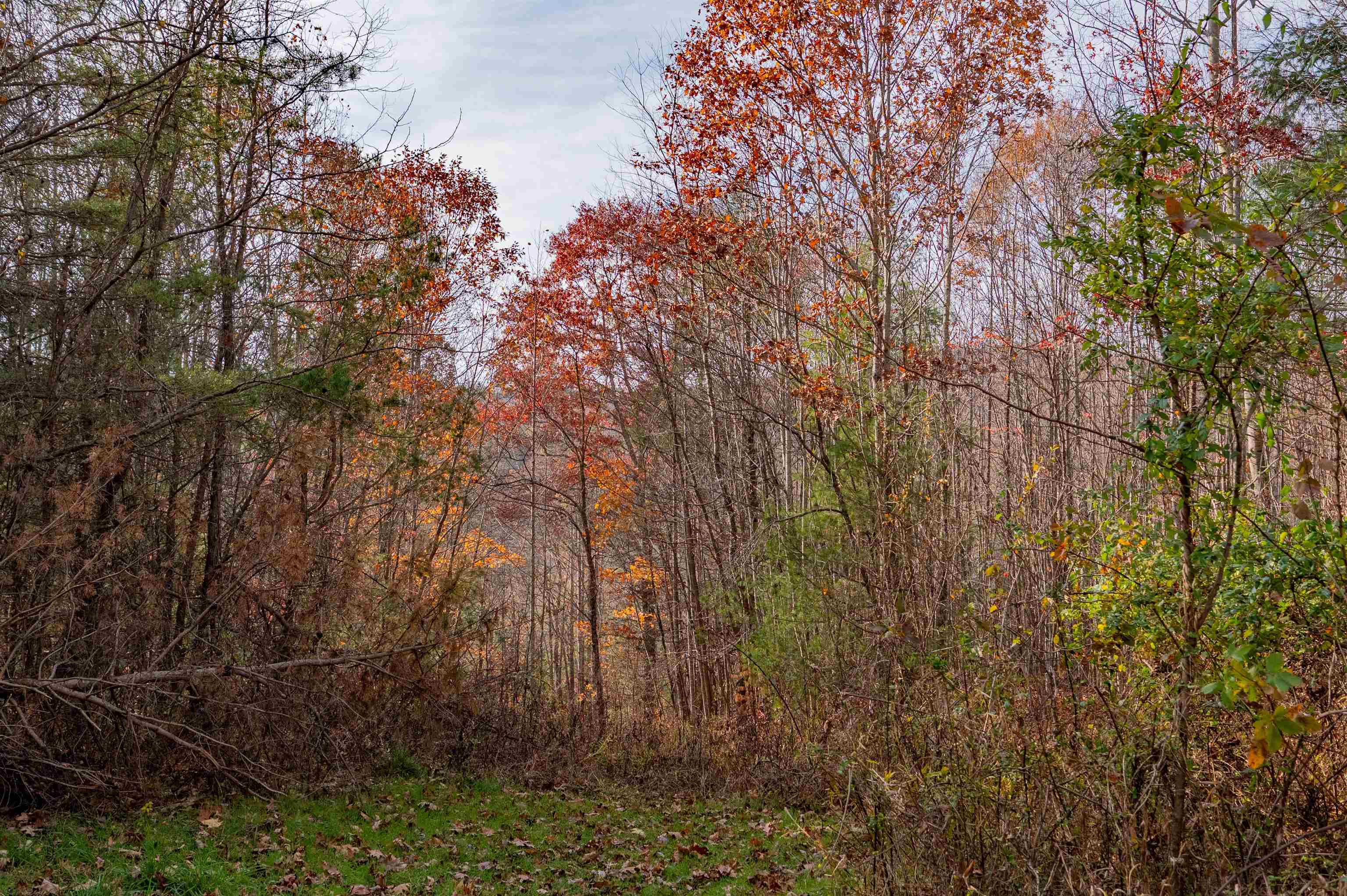 0 Tumbling Waters Road NE Copper Hill VA 24079