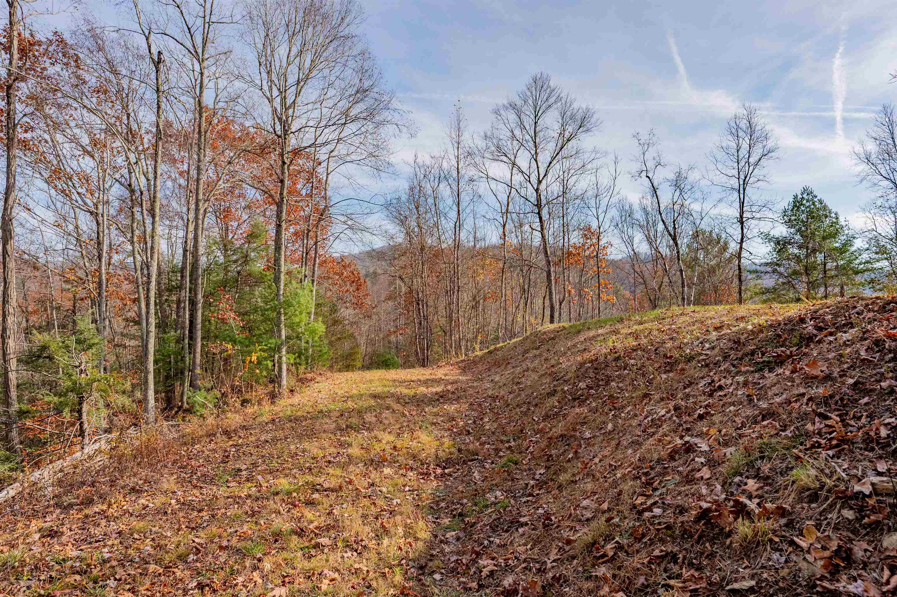 0 Tumbling Waters Road NE Copper Hill VA 24079