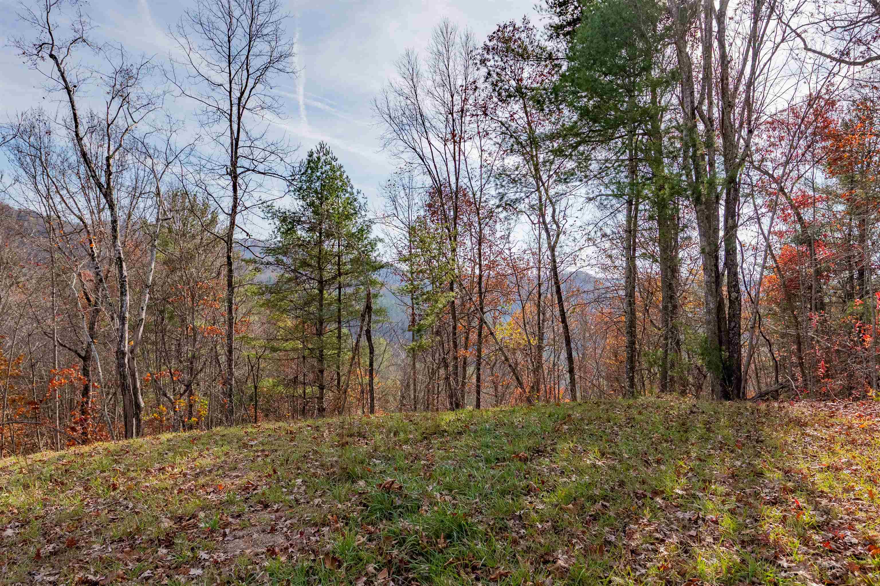 0 Tumbling Waters Road NE Copper Hill VA 24079