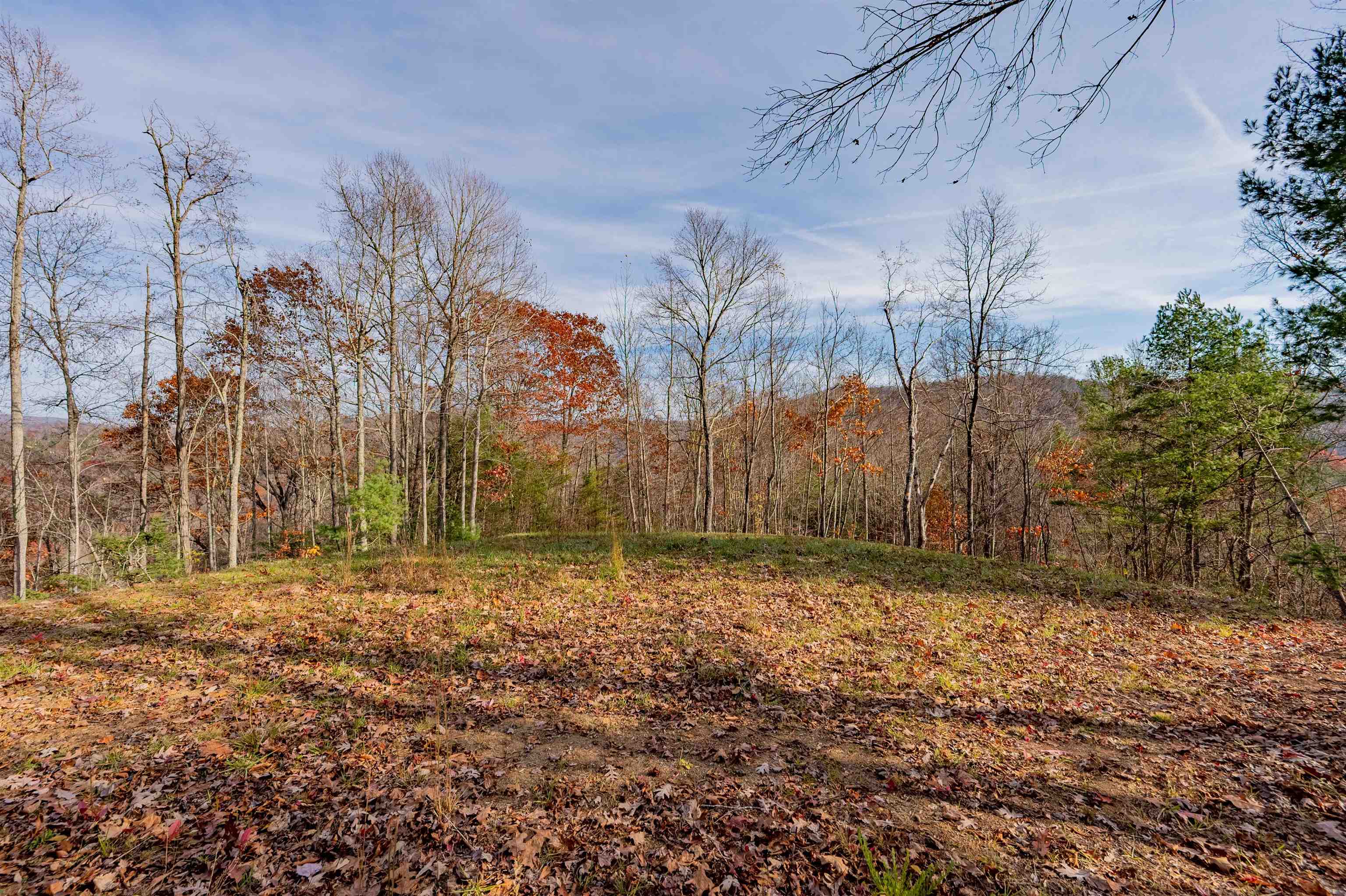 0 Tumbling Waters Road NE Copper Hill VA 24079