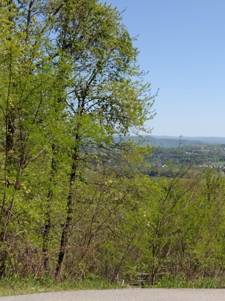 Lot 62 Rhea Ridge Drive Blacksburg VA 24060