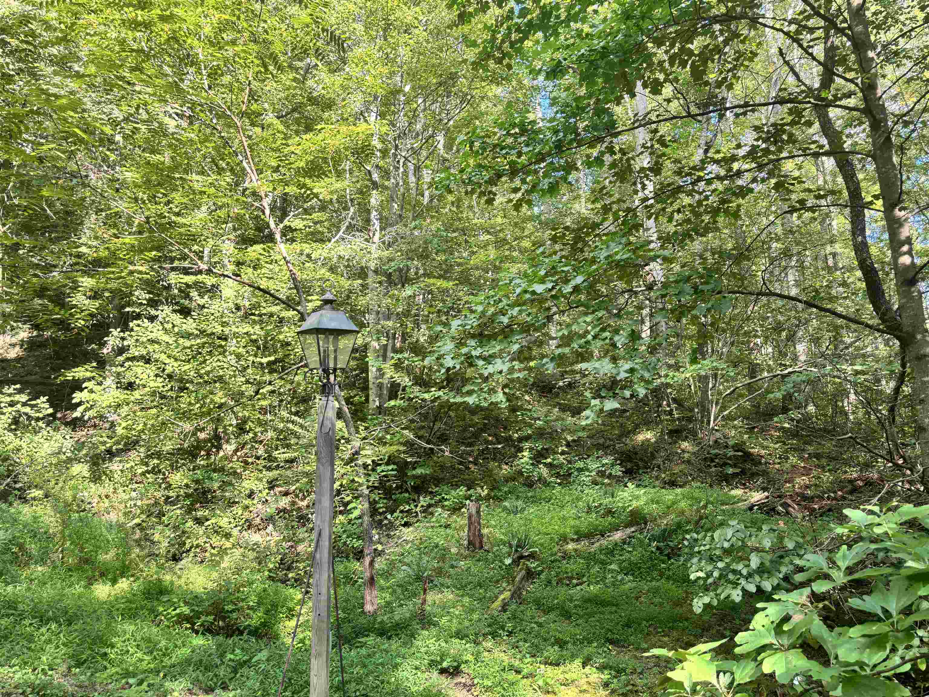 2555 Shooting Creek Road Ferrum VA 24088
