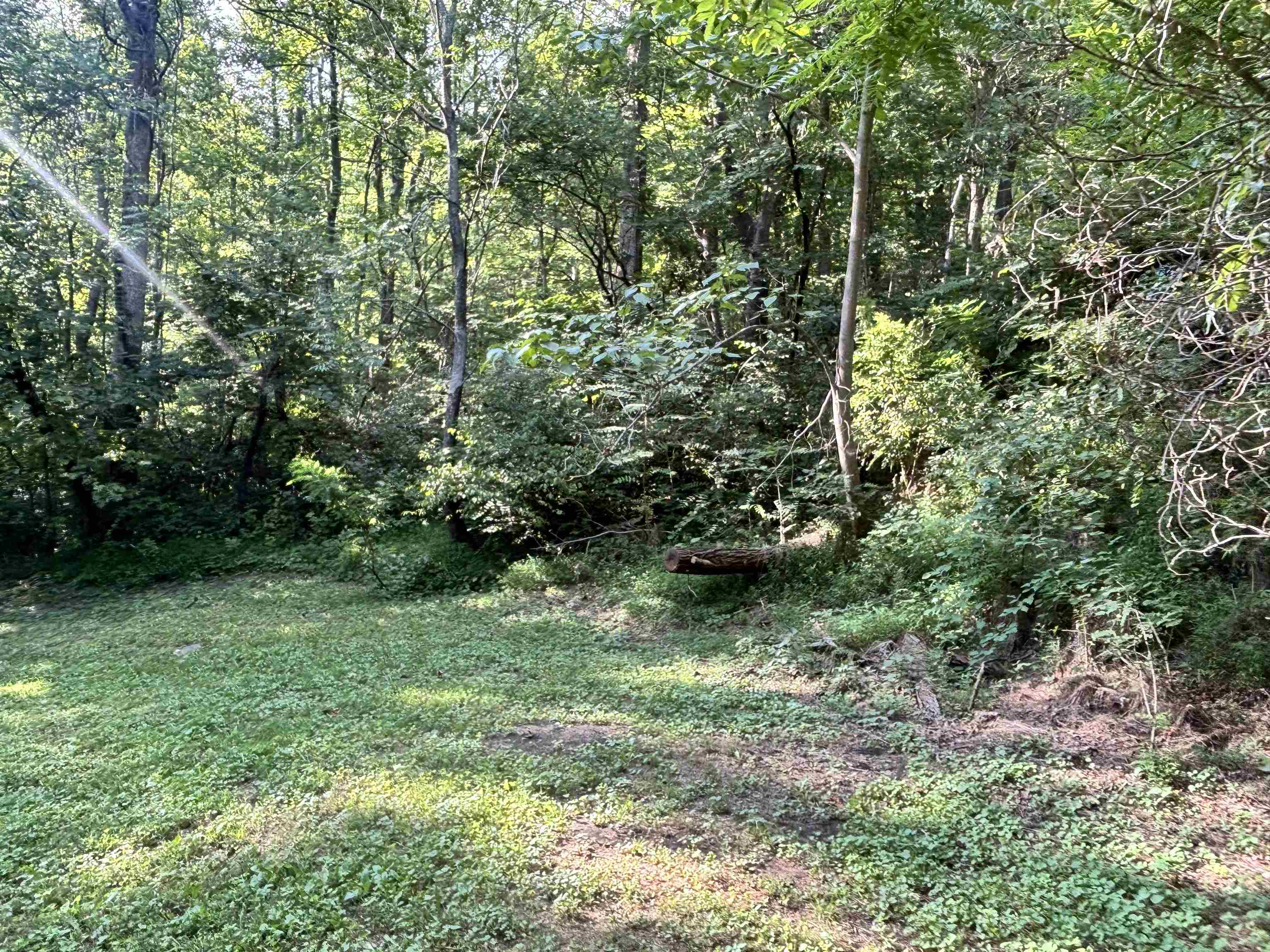 2555 Shooting Creek Road Ferrum VA 24088