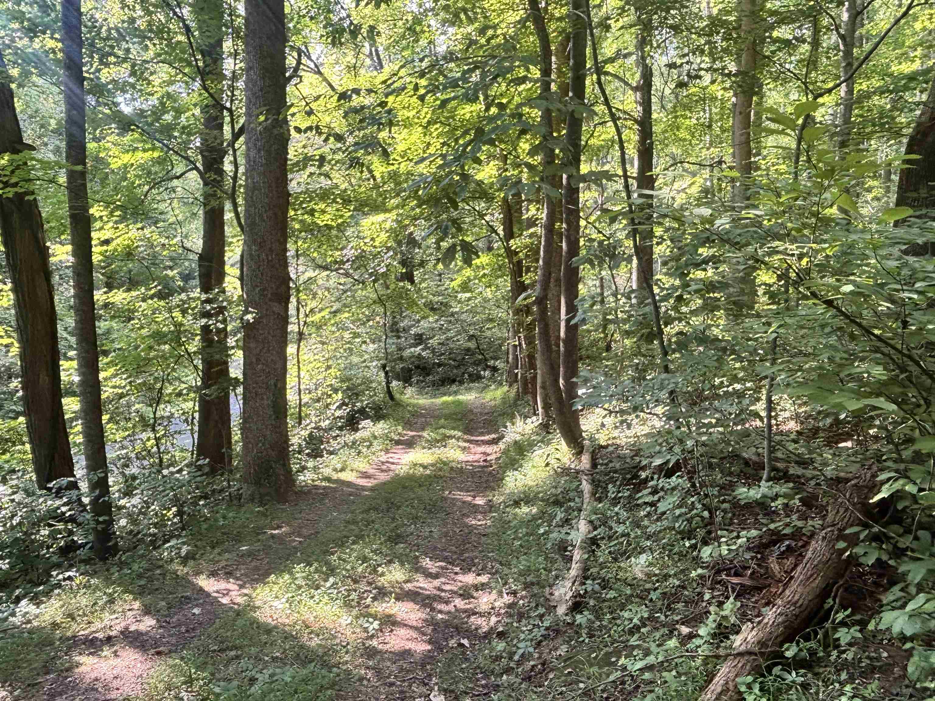 2555 Shooting Creek Road Ferrum VA 24088