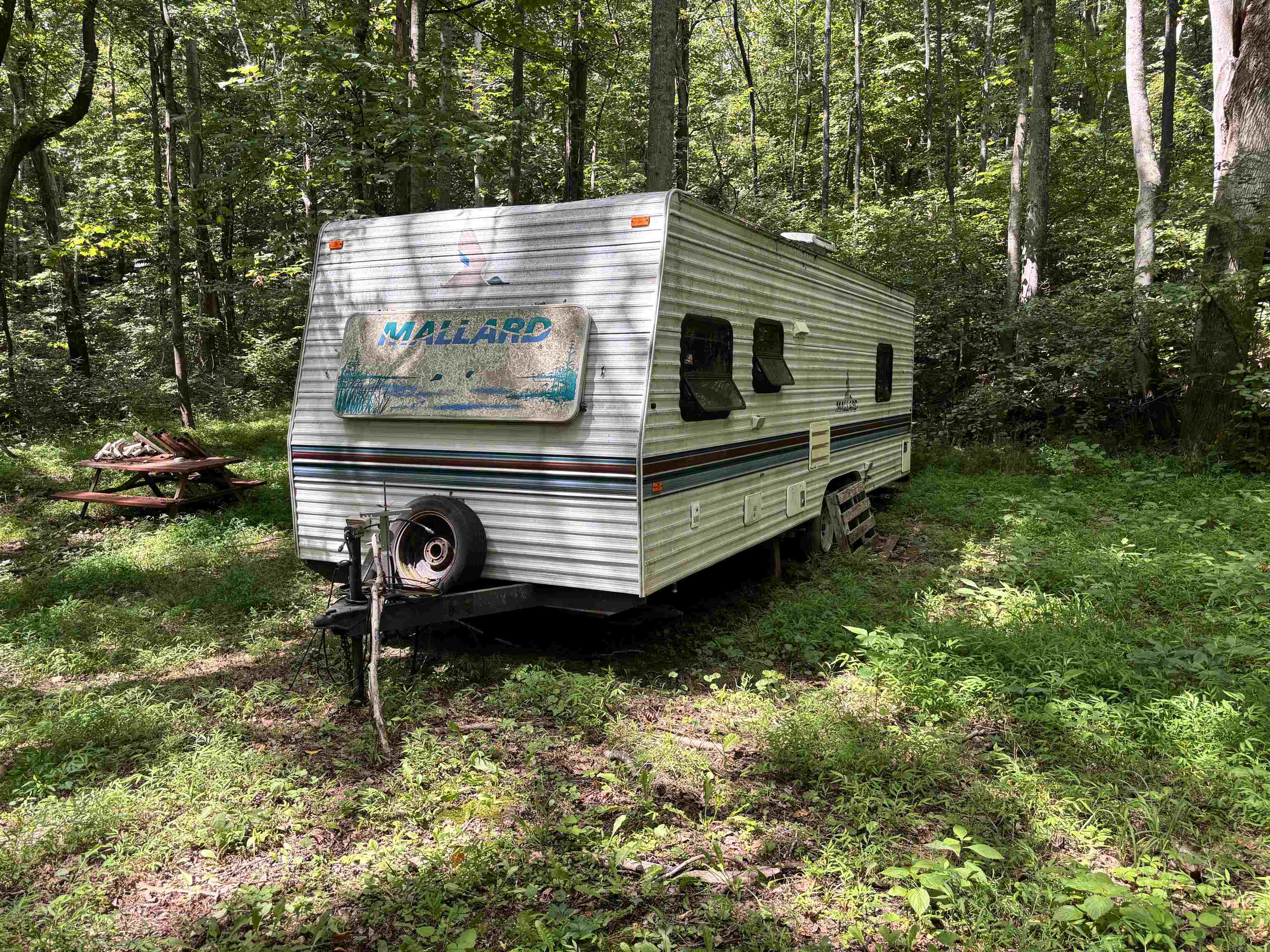2555 Shooting Creek Road Ferrum VA 24088