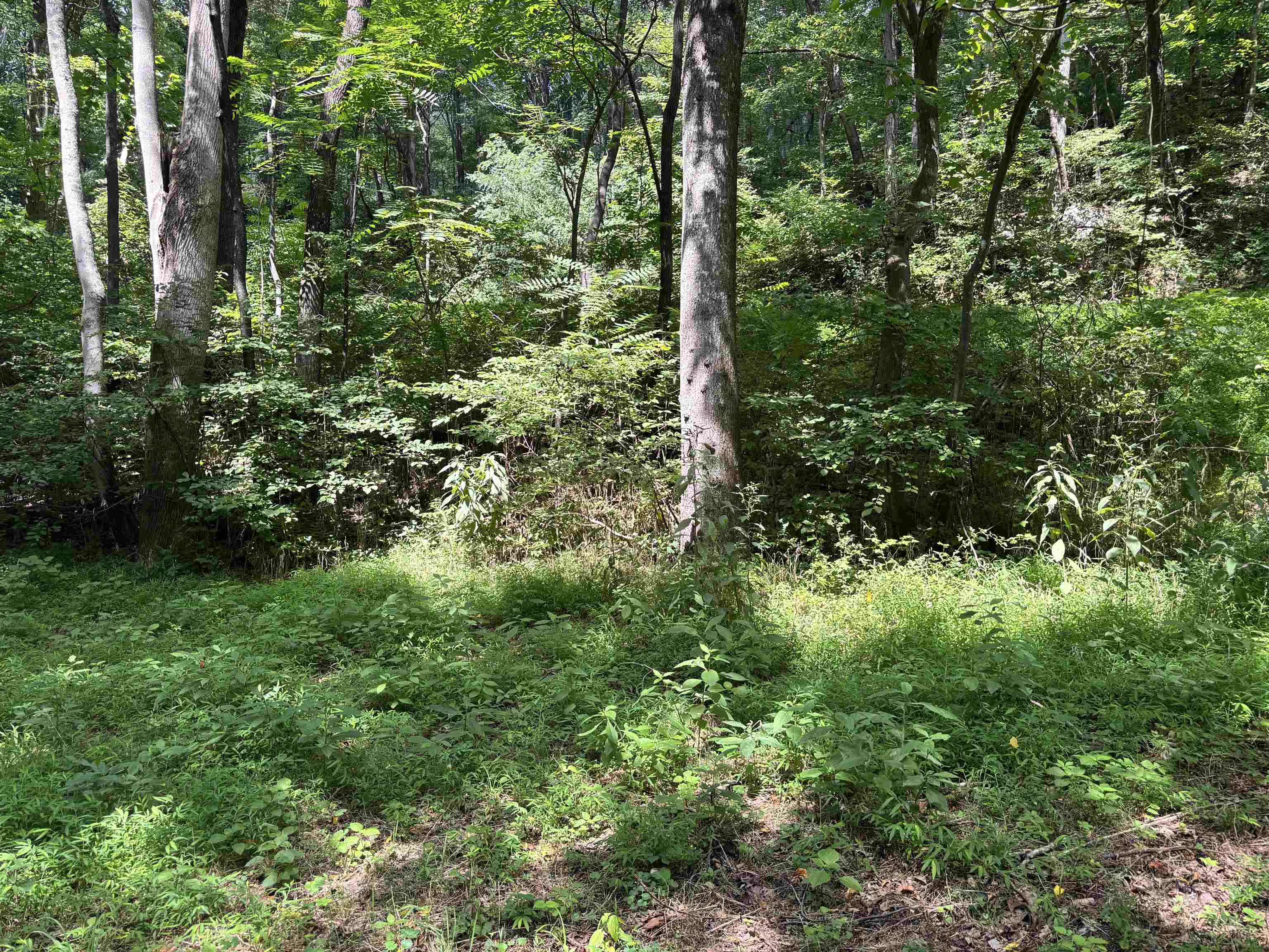 2555 Shooting Creek Road Ferrum VA 24088