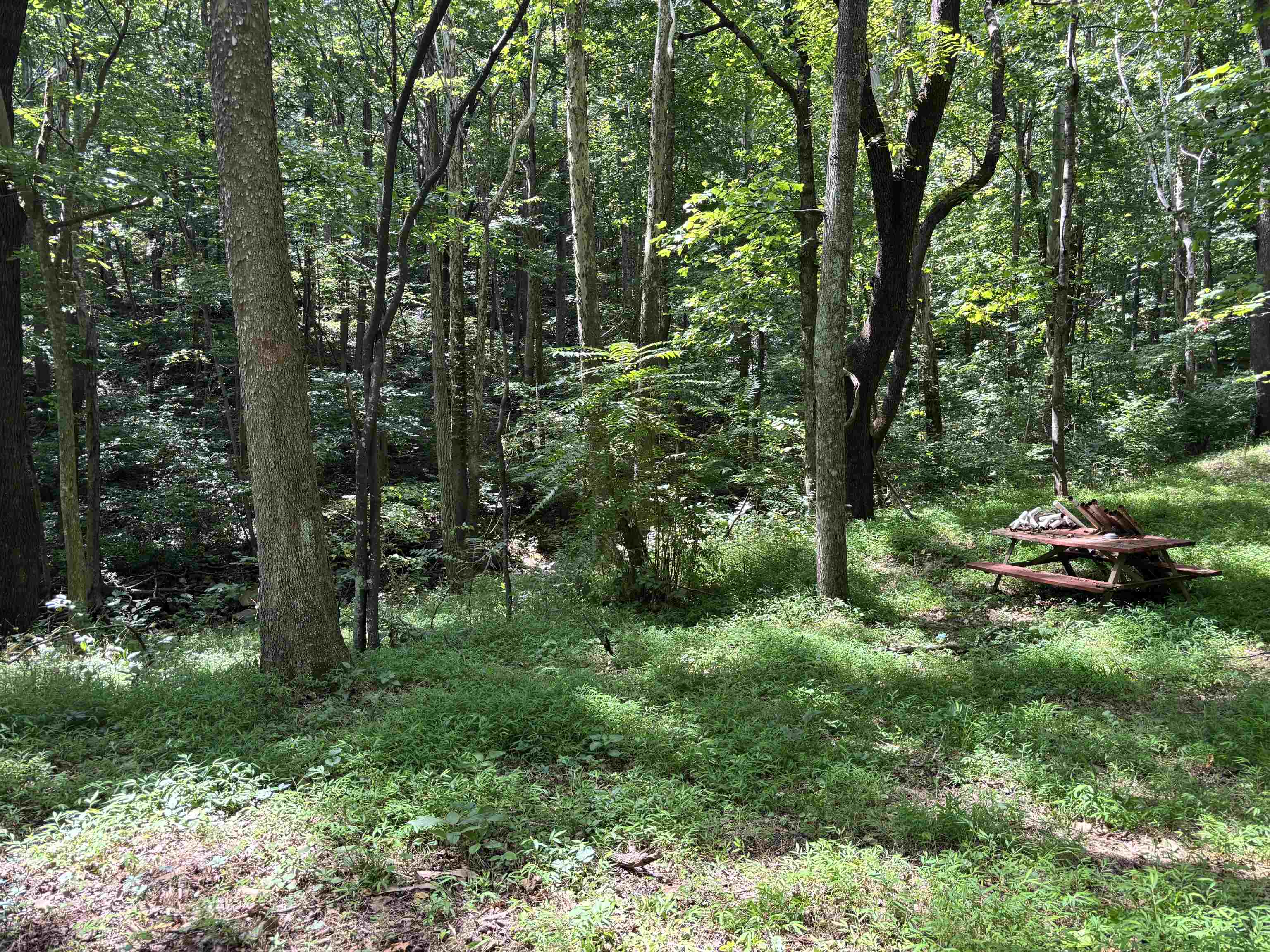 2555 Shooting Creek Road Ferrum VA 24088