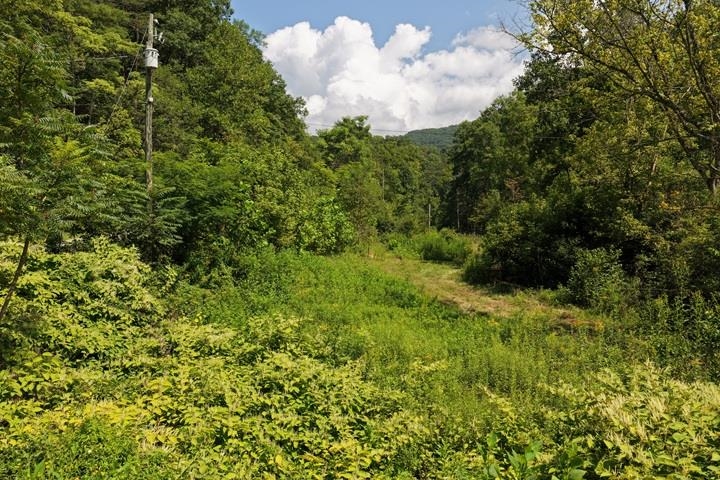 TBD-33.88 Acres Baptist Hollow Road Hiwassee VA 24347