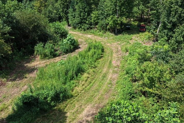 TBD-33.88 Acres Baptist Hollow Road Hiwassee VA 24347