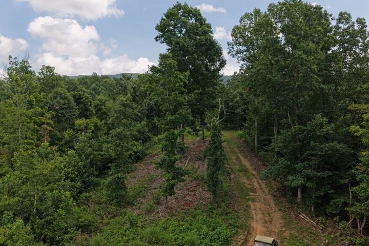 TBD-33.88 Acres Baptist Hollow Road Hiwassee VA 24347