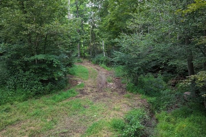 TBD-33.88 Acres Baptist Hollow Road Hiwassee VA 24347