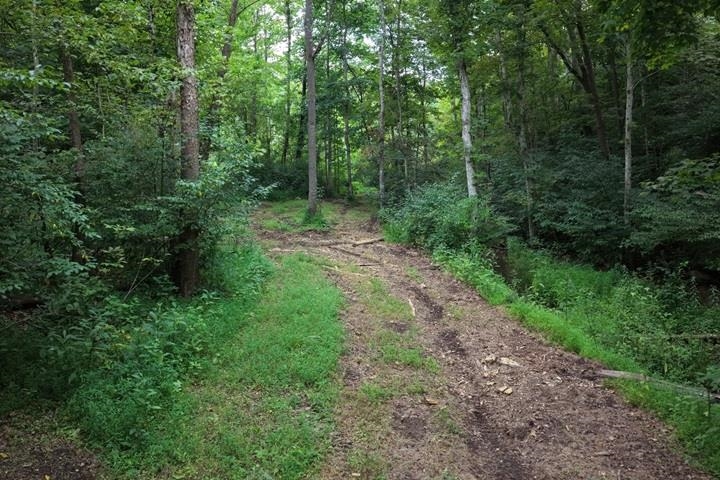TBD-33.88 Acres Baptist Hollow Road Hiwassee VA 24347