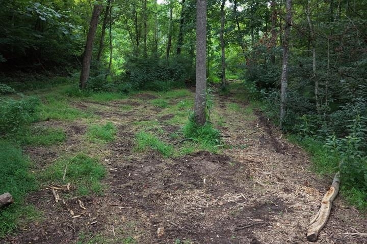 TBD-33.88 Acres Baptist Hollow Road Hiwassee VA 24347