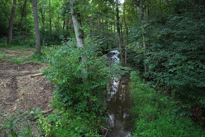 TBD-33.88 Acres Baptist Hollow Road Hiwassee VA 24347
