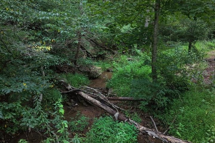 TBD-33.88 Acres Baptist Hollow Road Hiwassee VA 24347