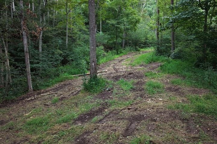 TBD-33.88 Acres Baptist Hollow Road Hiwassee VA 24347
