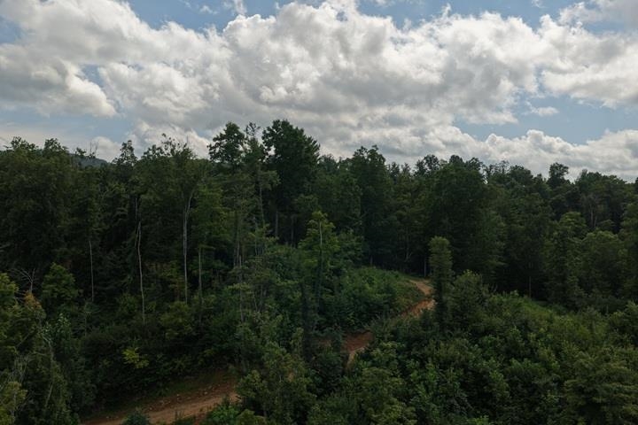 TBD-33.88 Acres Baptist Hollow Road Hiwassee VA 24347