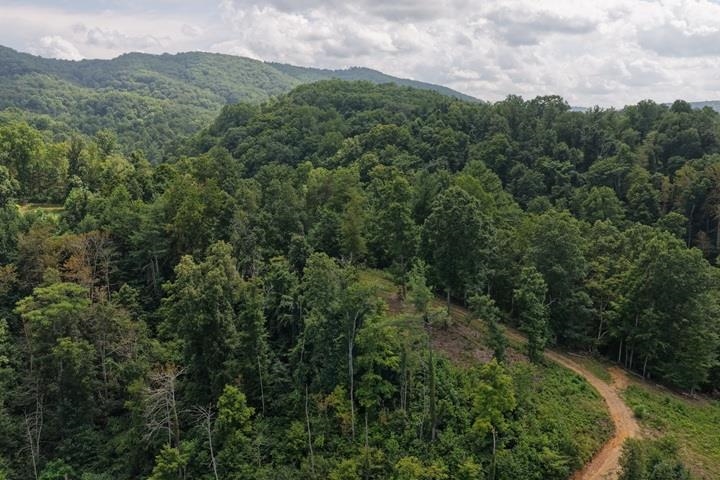 TBD-33.88 Acres Baptist Hollow Road Hiwassee VA 24347