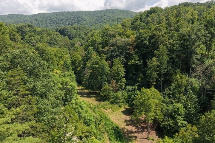 TBD-33.88 Acres Baptist Hollow Road Hiwassee VA 24347