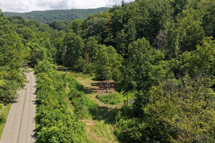 TBD-33.88 Acres Baptist Hollow Road Hiwassee VA 24347