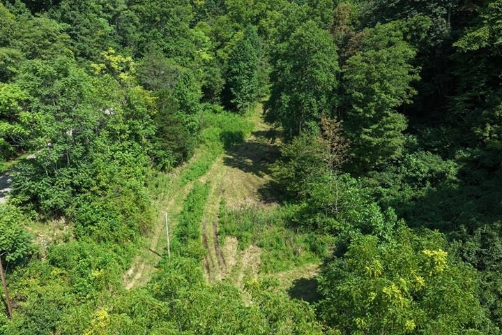 TBD-33.88 Acres Baptist Hollow Road Hiwassee VA 24347