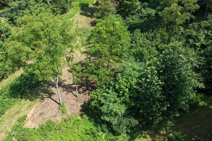 TBD-33.88 Acres Baptist Hollow Road Hiwassee VA 24347