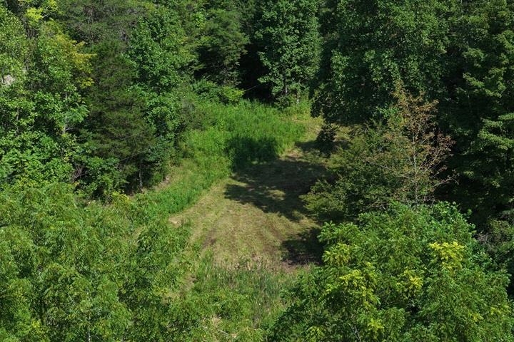 TBD-33.88 Acres Baptist Hollow Road Hiwassee VA 24347