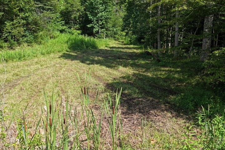 TBD-33.88 Acres Baptist Hollow Road Hiwassee VA 24347