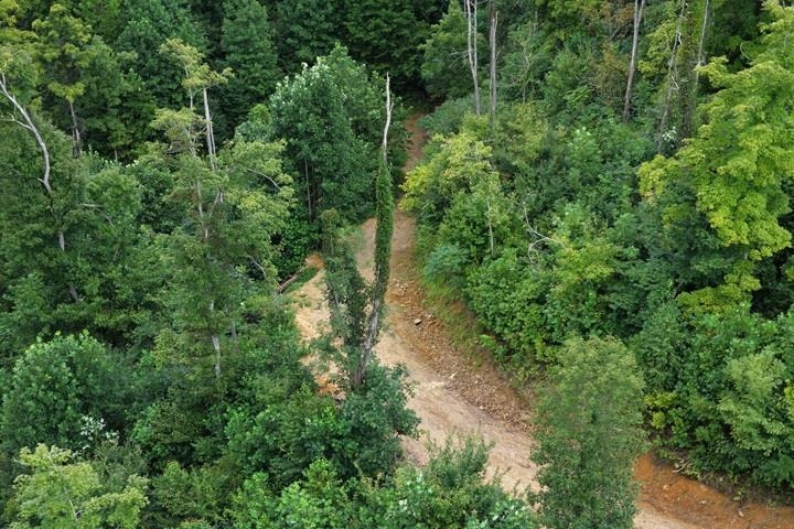 TBD-33.88 Acres Baptist Hollow Road Hiwassee VA 24347