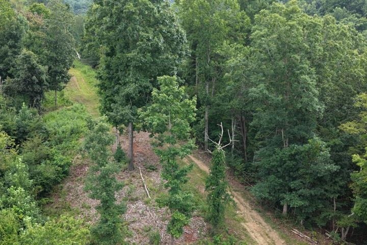 TBD-33.88 Acres Baptist Hollow Road Hiwassee VA 24347