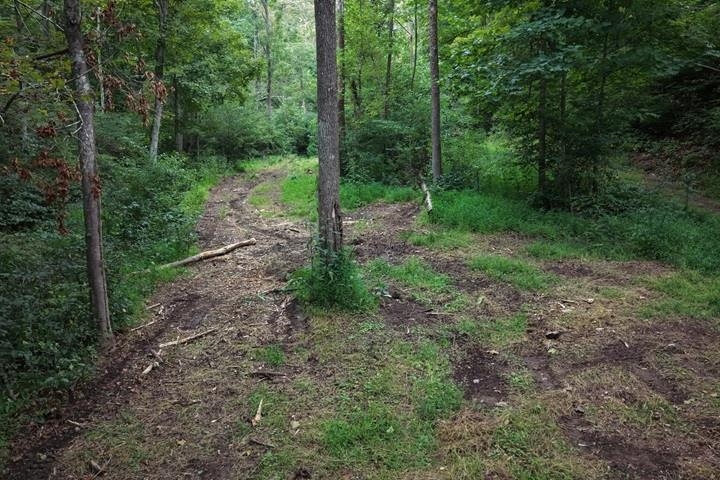 TBD-33.88 Acres Baptist Hollow Road Hiwassee VA 24347