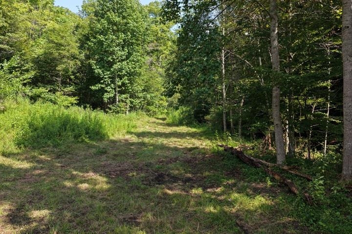 TBD-33.88 Acres Baptist Hollow Road Hiwassee VA 24347