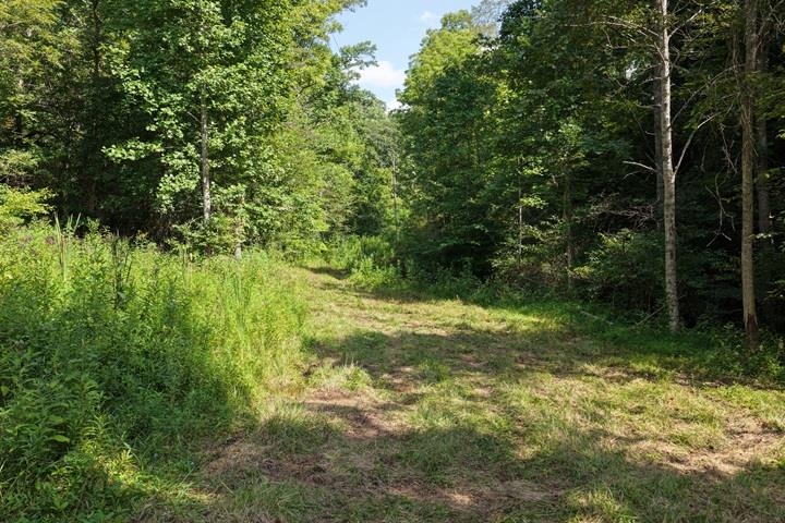 TBD-33.88 Acres Baptist Hollow Road Hiwassee VA 24347
