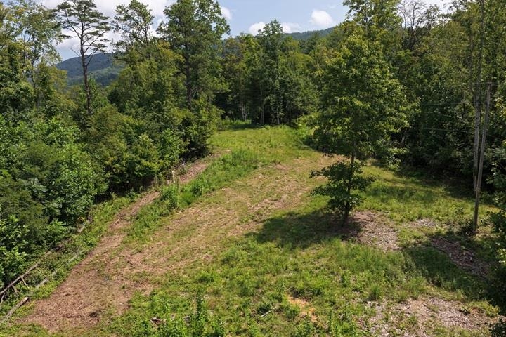 TBD-33.88 Acres Baptist Hollow Road Hiwassee VA 24347