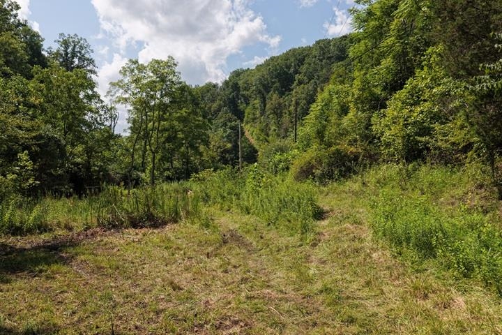 TBD-33.88 Acres Baptist Hollow Road Hiwassee VA 24347