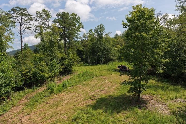TBD-33.88 Acres Baptist Hollow Road Hiwassee VA 24347